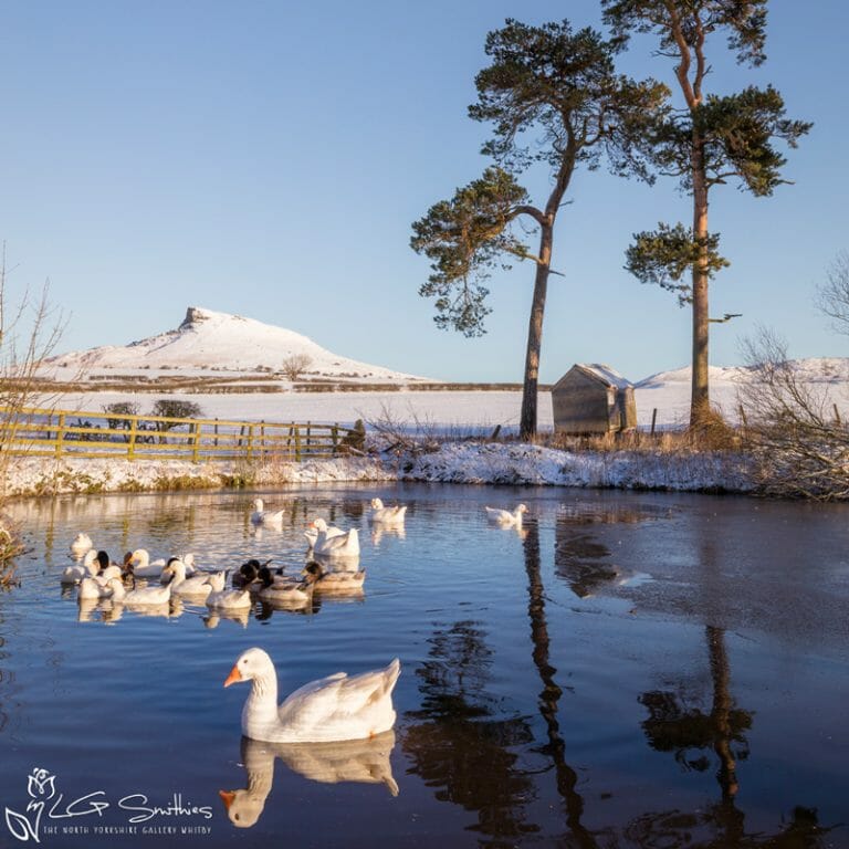 Aireyholme Farm Photo Slate