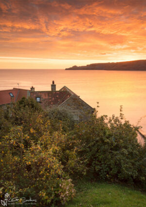 Autumn Apple Trees At Runswick Bay
