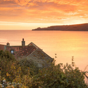 Autumn Apple Trees At Runswick Bay Photo Slate