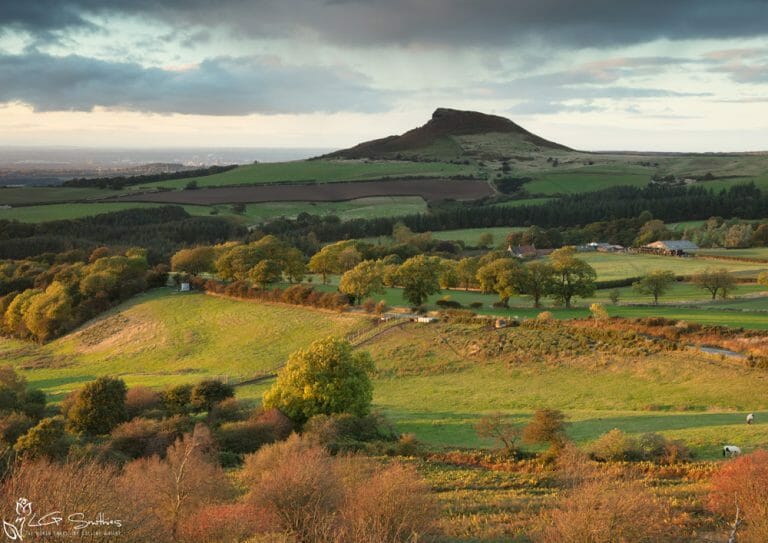 Autumn At Aireyholme Farm Roseberry Topping