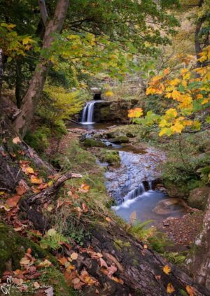 Autumn At Blow Gill