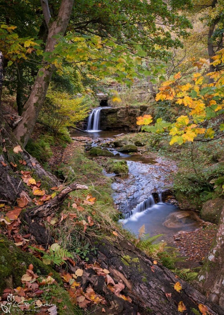 Autumn At Blow Gill