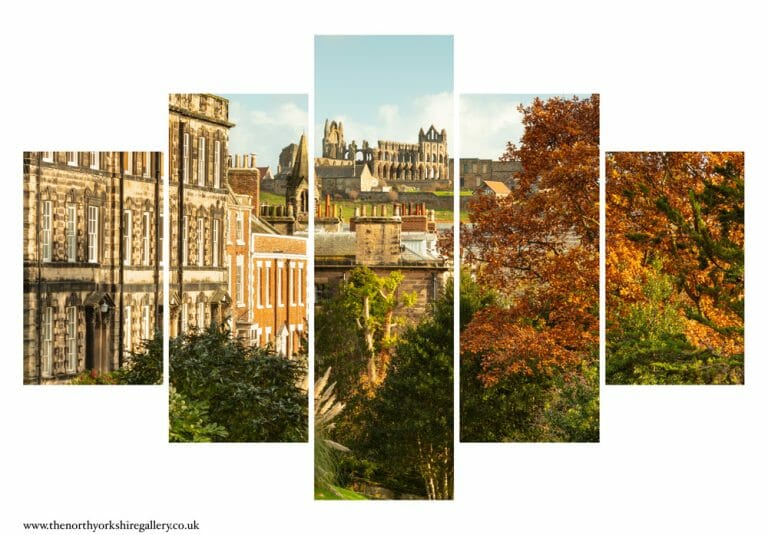 Autumn At Pannett Park 5PCS Wall Art
