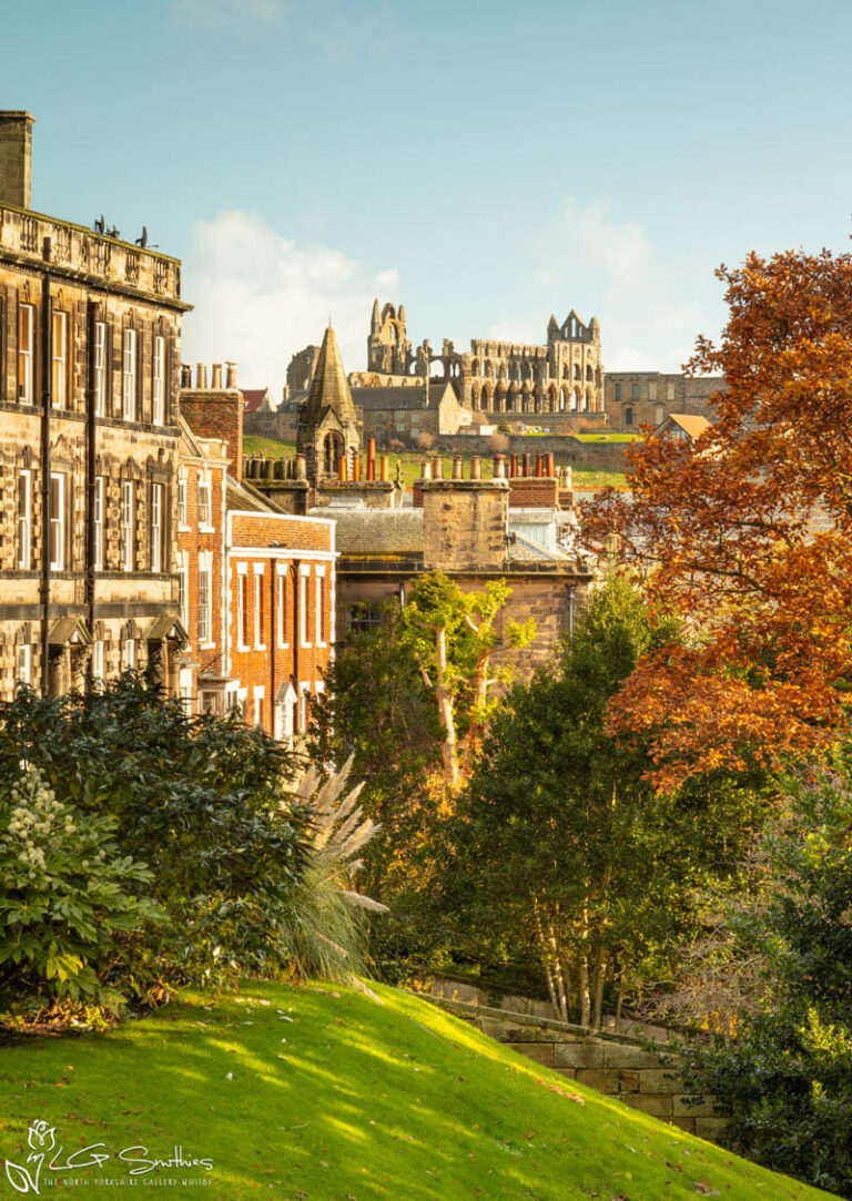Autumn Pannet Park Whitby