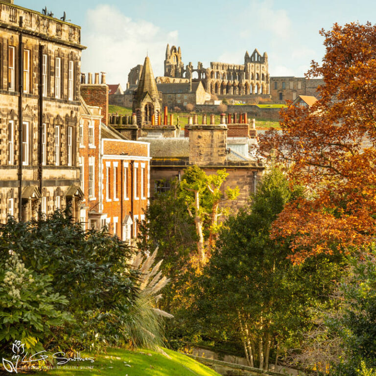 Autumn Park Whitby Slate