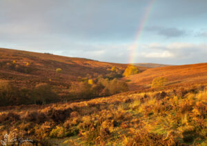 Autumn Rainbow On The North Yorkshire Moors