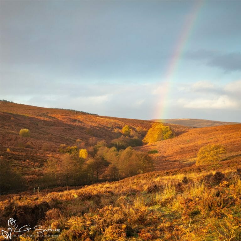 Autumn Rainbow On The North Yorkshire Moors Photo Slate
