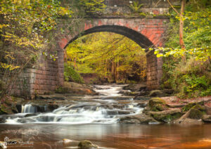 Autumn Under Falling Foss Bridge