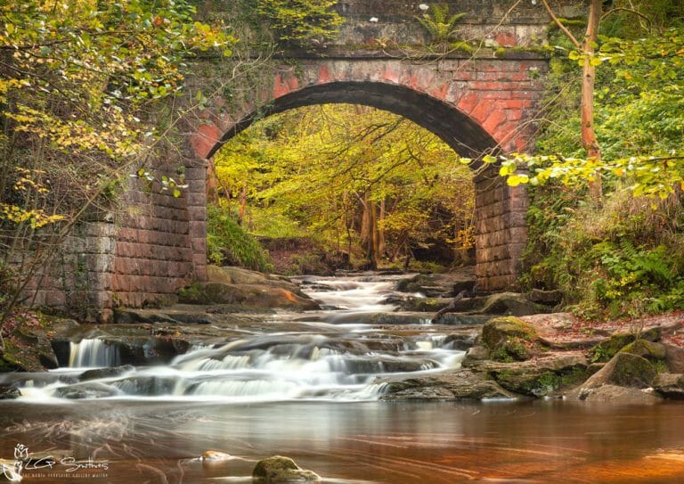 Autumn Under Falling Foss Bridge