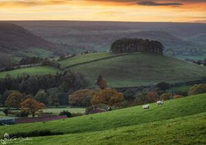 Beautiful Autumn Sunset At Rosedale