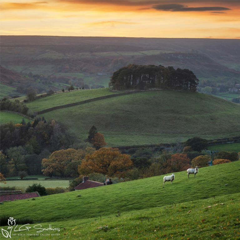 Beautiful Autumn Sunset At Rosedale Photo Slate