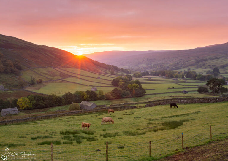 Beautiful Swaledale