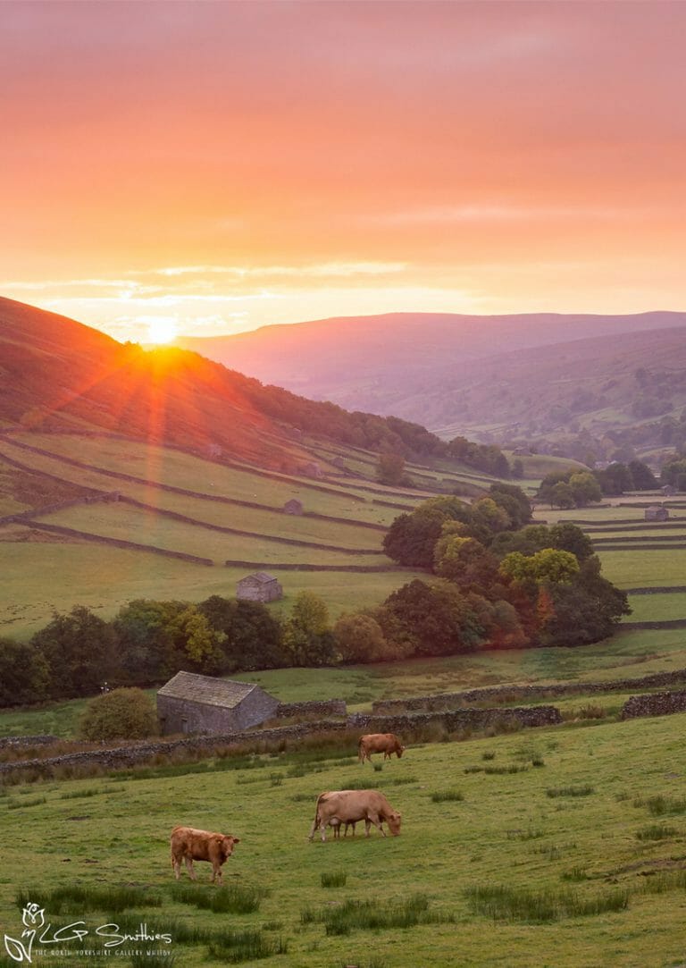 Beautiful Swaledale Sunrise