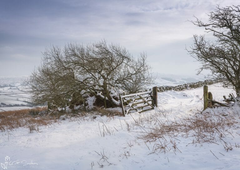 Blakey Ridge In The Snow