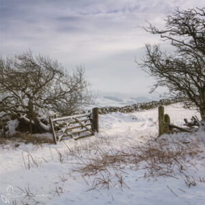 Blakey Ridge In The Snow Photo Slate