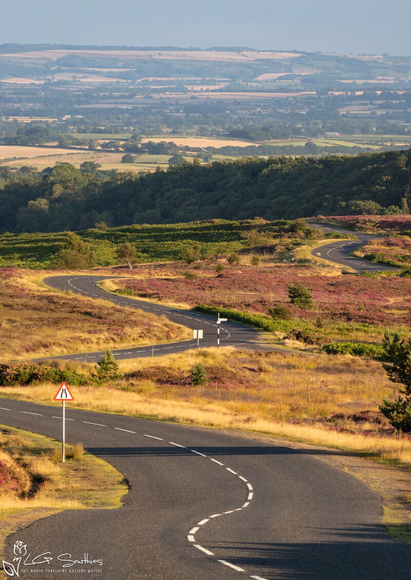 Blakey Ridge To Hutton Le Hole Portrait Blakey Ridge To Hutton Le Hole Portrait