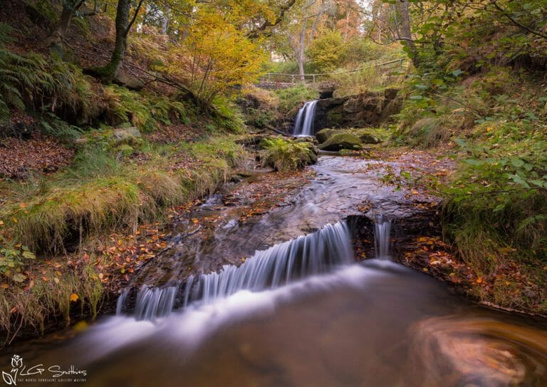 Blow Gill