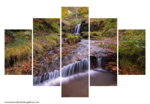 Blow Gill Waterfall 5PCS Wall Art
