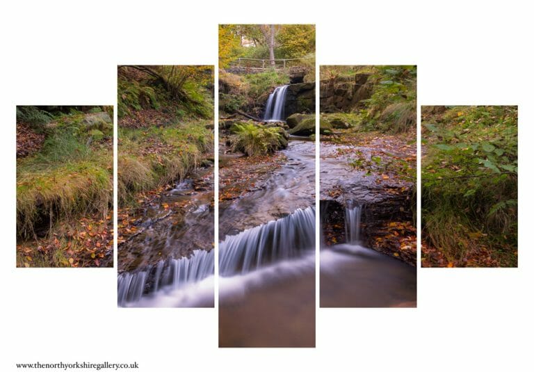 Blow Gill Waterfall 5PCS Wall Art