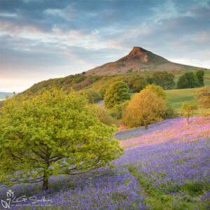 Bluebells at Roseberry Topping Photo Slate