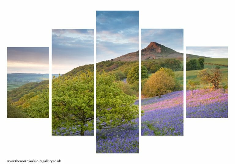 Bluebells At Roseberry Topping 5PCS Wall Art