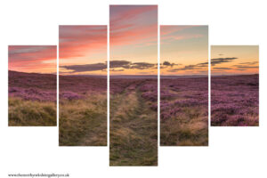 Bridleway Through The Moor 5PCS Wall Art