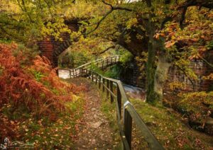 Bridge Under The Bridge Goathland