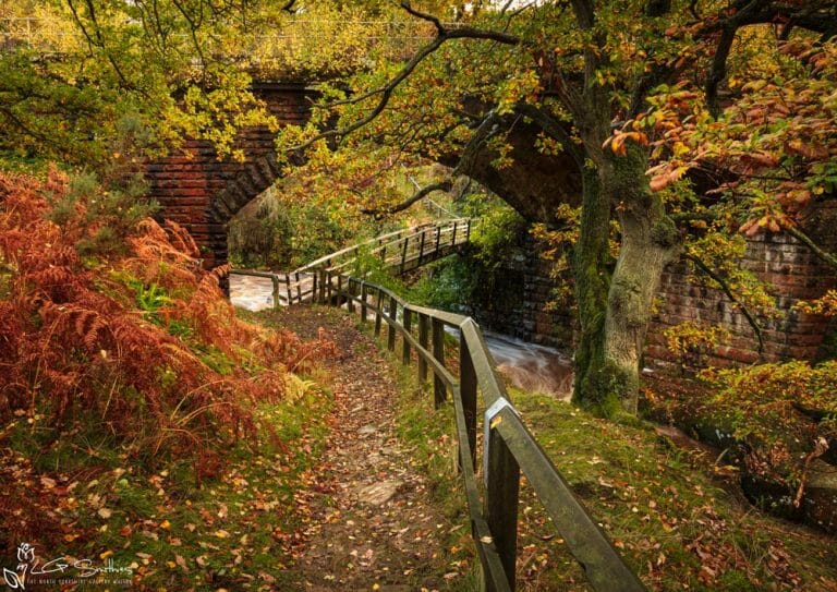 Bridge Under The Bridge Goathland