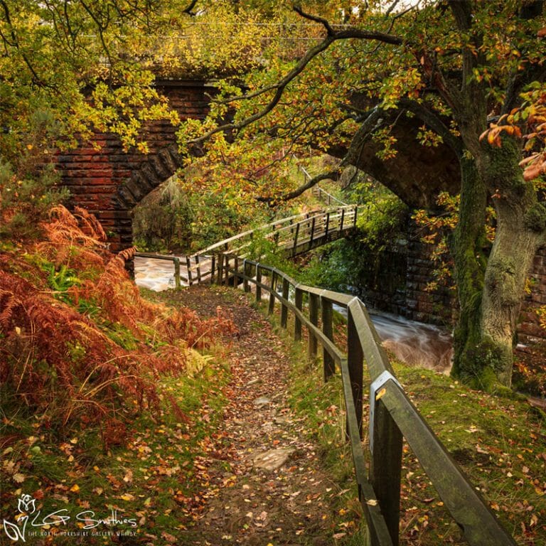 Bridge Under The Bridge Goathland Photo Slate