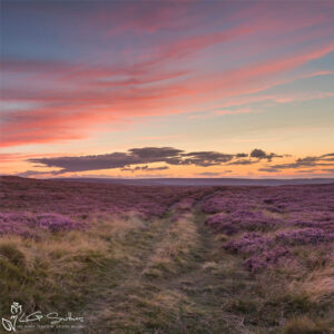 Bridleway Through The Moor Photo Slate