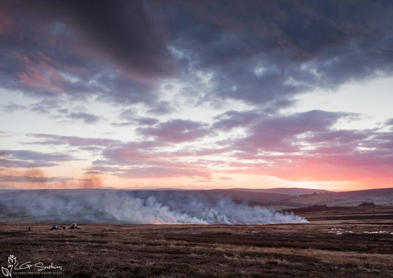 Burning Heather In The Esk Valley
