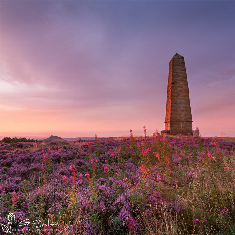 North Yorkshire Moors Mini Foam Boards
