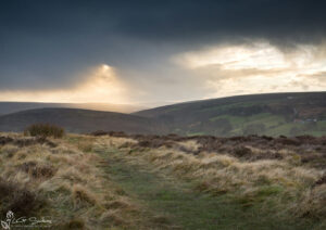 Castleton Moor