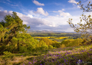 Cleveland Hills From Great Ayton