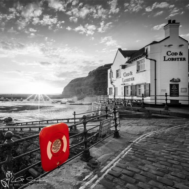 Cod and Lobster Colour Splash Mini Foam Board Print