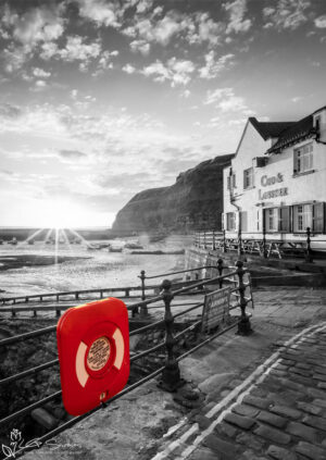 Cod and Lobster Colour Splash Portrait