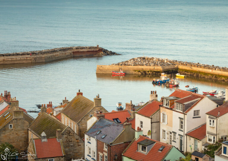 Cottages Overlooking Staithes Harbour