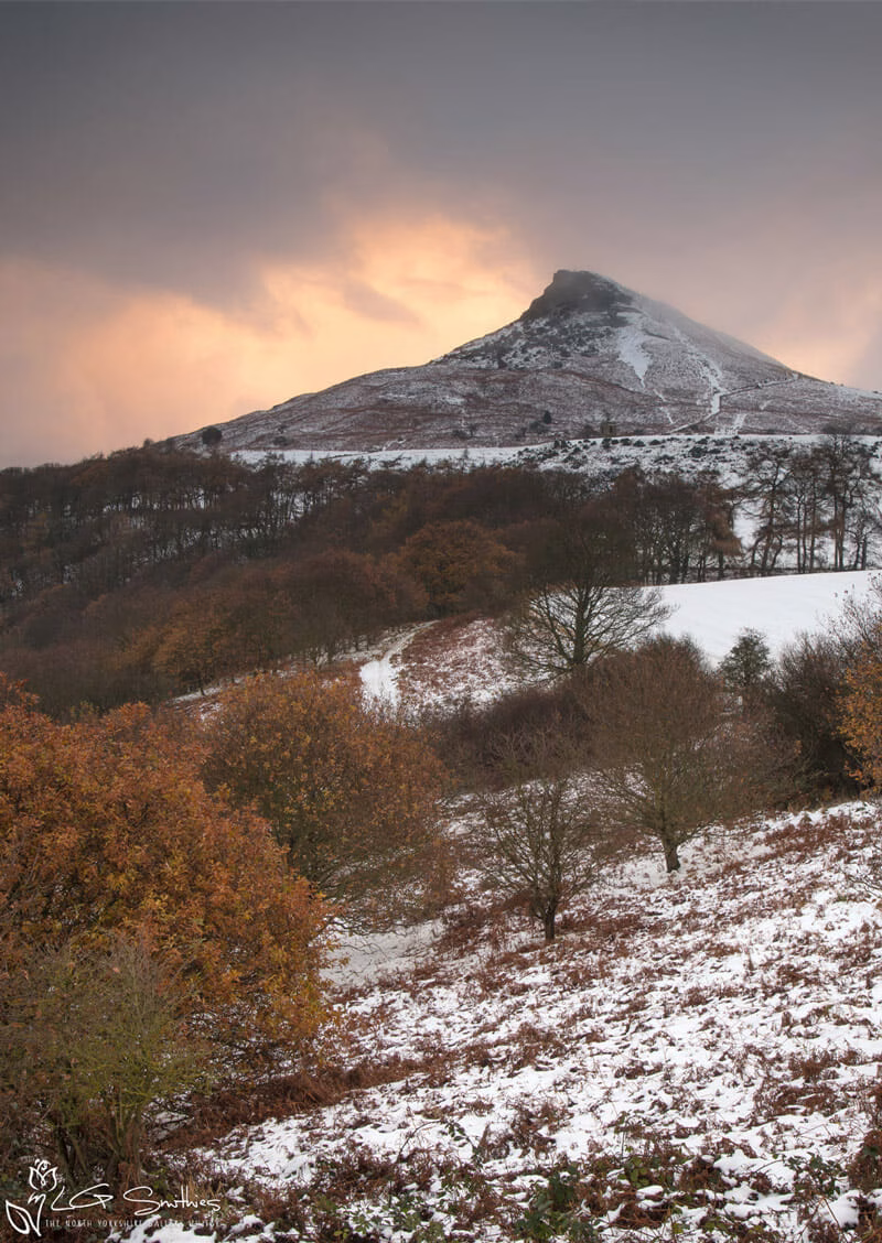 December Snow At Roseberry Topping Portrait