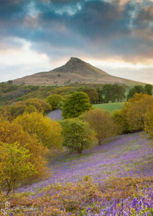 Early Morning At Roseberry Topping