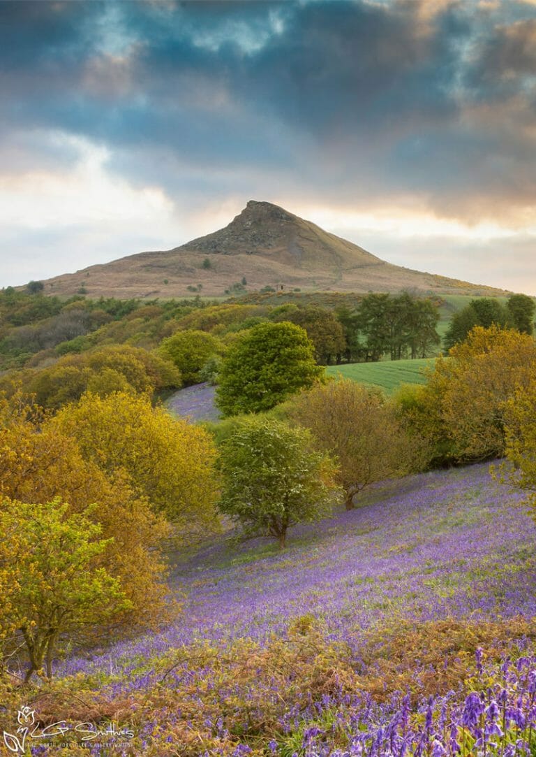 Early Morning At Roseberry Topping