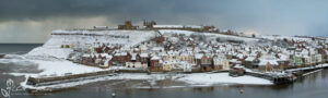 East Whitby Snow Slim Panoramic