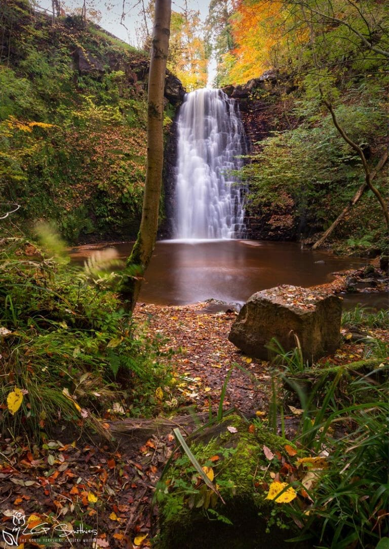 Falling Foss Autumn