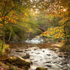 Falling Foss Bridge Whitby Photo Slate