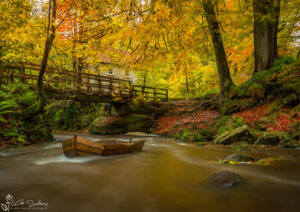 Falling Foss Tea Garden