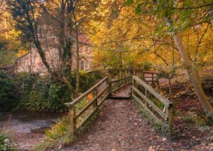 Falling Foss Tea Garden Autumn