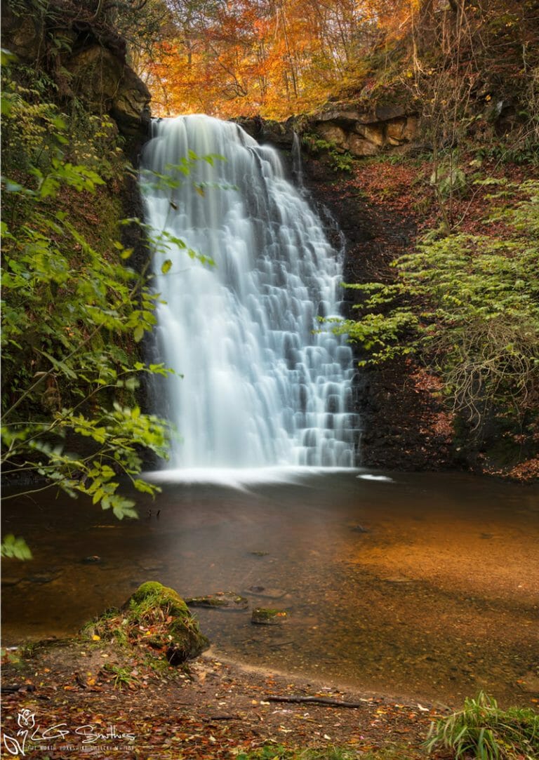 Falling Foss Whitby