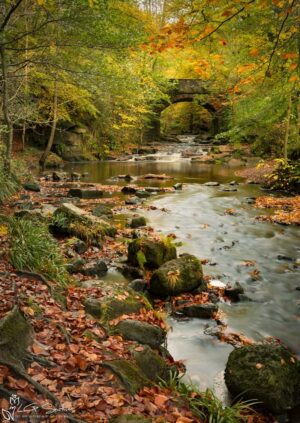 Falling Foss Bridge
