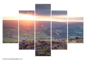 Farndale Sunset 5PCS Wall Art