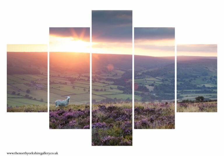 Farndale Sunset 5PCS Wall Art