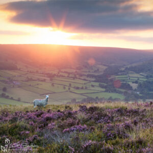 Farndale Sunset Photo Slate
